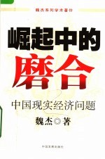 崛起中的磨合：中国现实经济问题