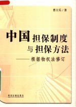 中国担保制度与担保方法:根据物权法修订
