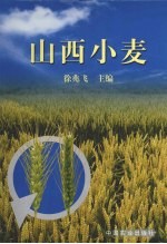 山西小麦