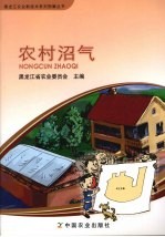 农村沼气