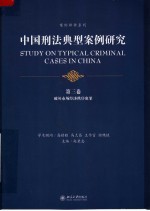 中国刑法典型案例研究 第3卷 破坏市场经济秩序犯罪