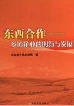 东西合作：乡镇企业的创新与发展