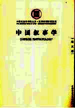 中国叙事学