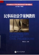 中国政法大学民事诉讼法学系列教材 民事诉讼法学案例教程