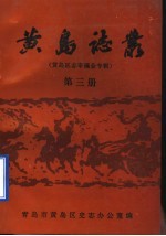 黄岛志丛 黄岛区志审稿会专辑 第3册