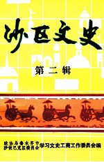 沙区文史 第2辑
