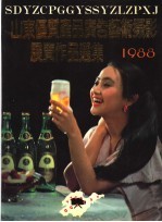 山东优质产品广告艺术摄影展览作品选集 1988