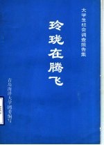 玲珑在腾飞：大学生社会考察报告集