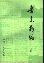 鲁志新编:《大众日报》专刊集 下