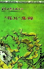 米泉回族民间文化“花儿”集锦