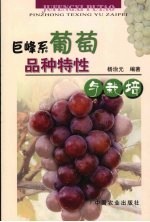 巨峰系葡萄品种特性与栽培