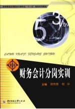 财务会计分岗实训