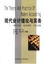 现代会计理论与实务 理论分析·制度阐释·实务图解