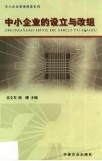 中小企业的设立与改组