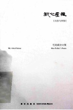 我心虚拟 毛培斌诗文集 My virtual fantasy Mao peibin poems