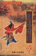 龙啸天下 中