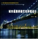 城市道路桥梁灯光环境设计