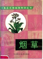 烟草