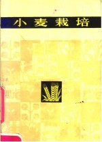 小麦栽培