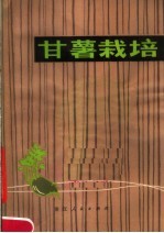 甘薯栽培