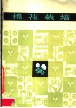 棉花栽培
