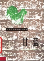 甘蓝