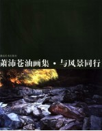 萧沛苍油画集·与风景同行