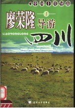 廖荣隆导游四川 1