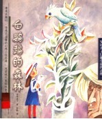 白鹦鹉的森林