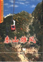泰山雄风:泰安改革开放二十年纪实