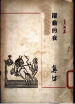 跃动的夜 第2版