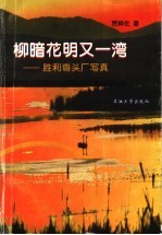 柳暗花明又一湾 胜利弯头厂写真