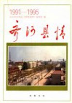 齐河县情 1991-1995