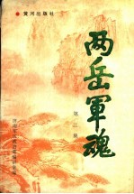 两岳军魂 第3集