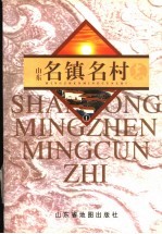 山东名镇名村志 1
