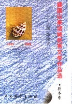 建国以来诸城优秀文学作品选 剧本卷