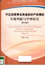 不正当竞争及其他知识产权侵权专题判解与学理研究 第1分册