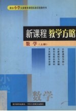 新课程教学方略 小学数学 上