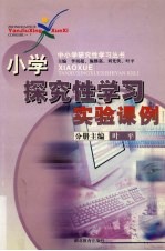 小学探究性学习实验课例