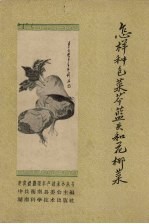 怎样种包菜,芥蓝头和花椰菜