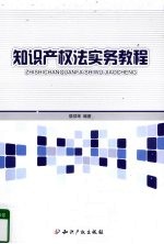 知识产权法实务教程
