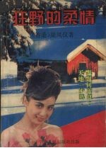 言情小说经典系列 狂野的柔情