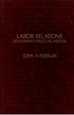 LABOR RELATIONS DEVELOPMENT STRUCTURE PROCESS REVISED EDITION