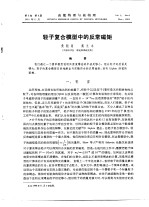 轻子复合模型中的反常磁矩
