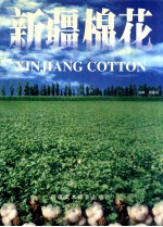 新疆棉花:汉英对照
