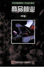 商业营业 中级