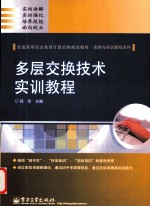 多层交换技术实训教程