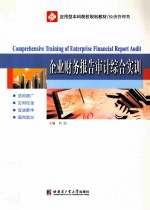 企业财务报告审计综合实训