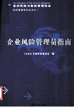 企业风险管理员指南