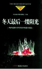 冬天最后一缕阳光 哈萨克族中青年作家中短篇小说选
